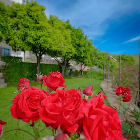 Maison d'hôtes Eduard Lagji Lukovë